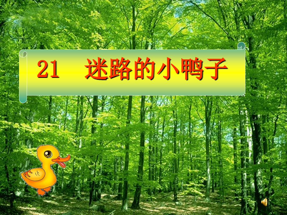鄂教版迷路的小鸭子.ppt_第1页