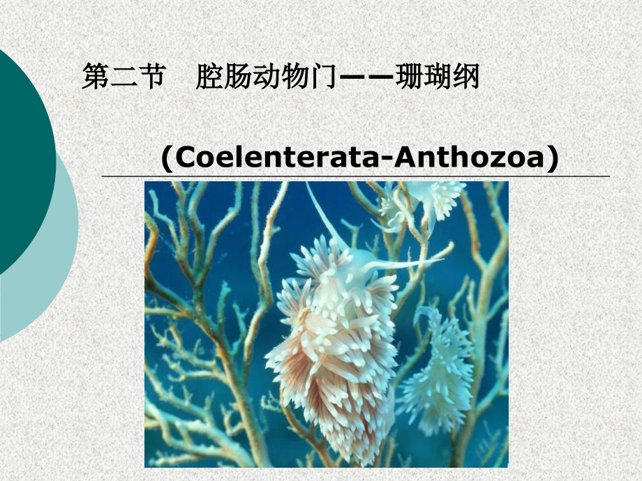 古生物地史学042.ppt_第1页
