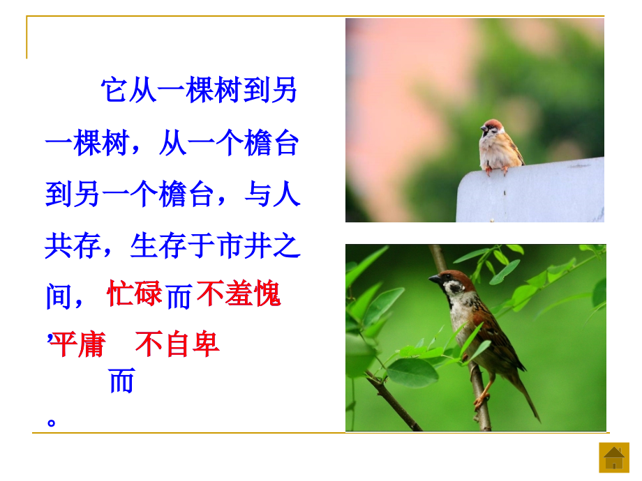 《隔窗看雀》课件.ppt_第2页