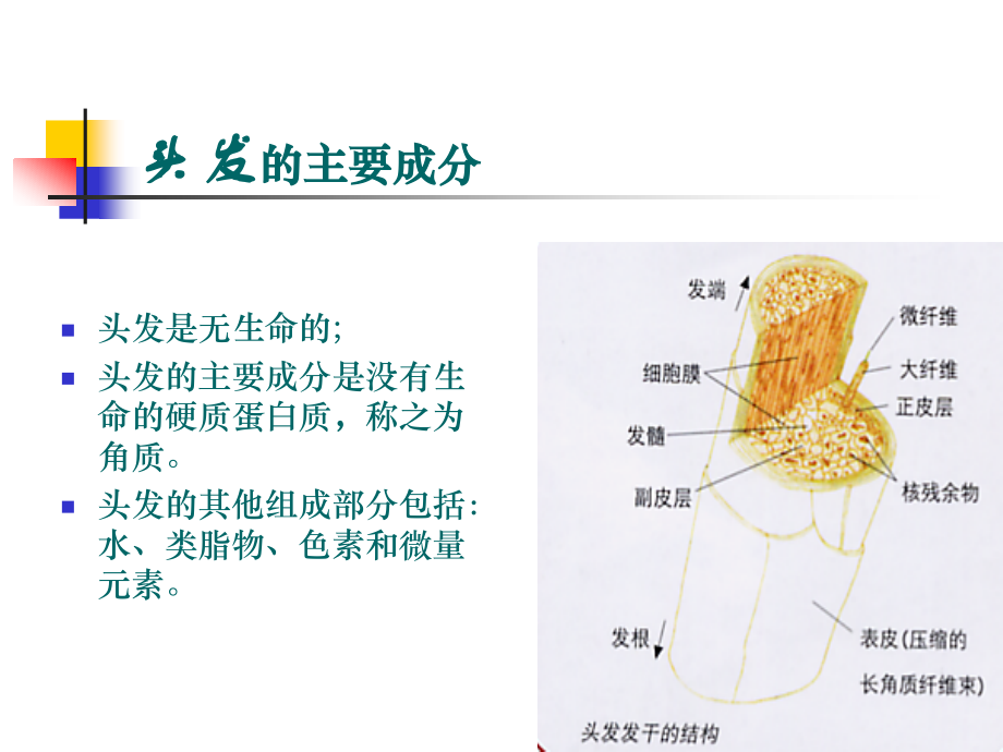 广东深圳人人乐管理培训课程==美发沐浴知识培训52页.ppt_第2页