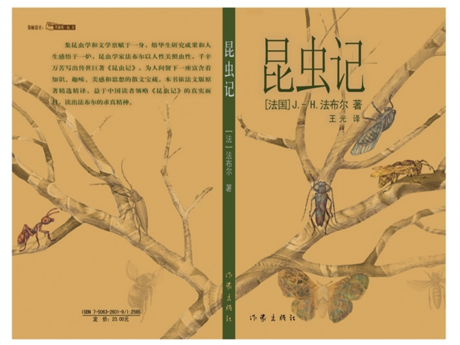 《绿色蝈蝈》课件-(2).ppt_第1页