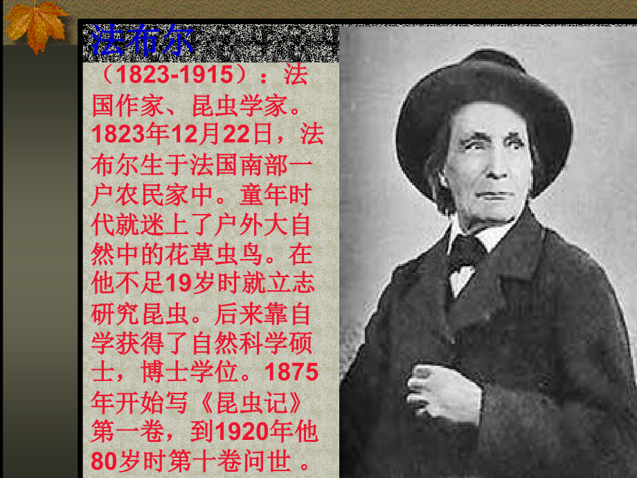 《绿色蝈蝈》课件-(2).ppt_第2页