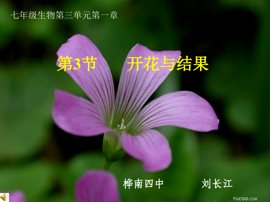 第三节：开花和结果.ppt_第1页
