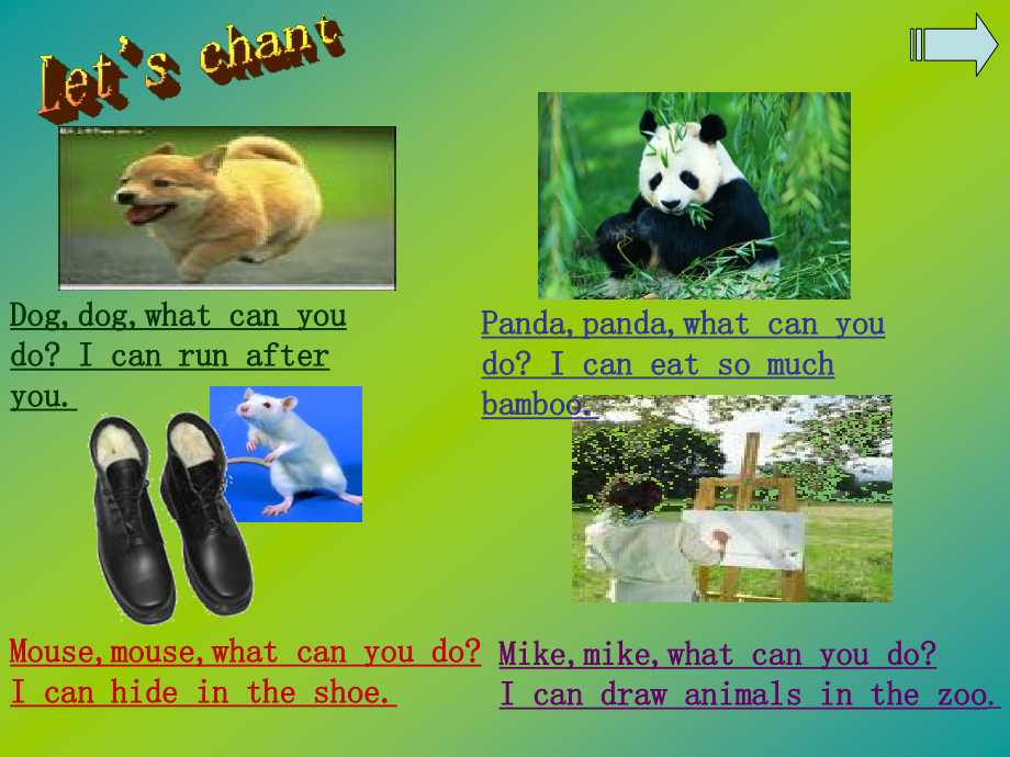 What-can-Amy-do.ppt_第1页