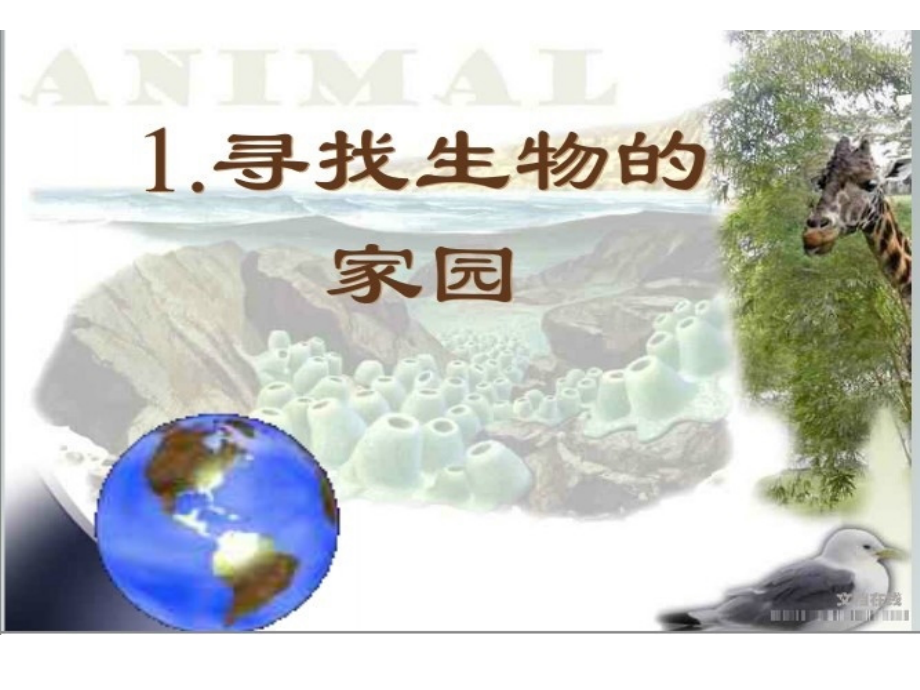 新建寻找生物的家园演示文稿.ppt_第1页