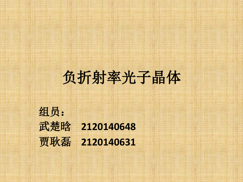负折射率光子晶体1.ppt_第1页