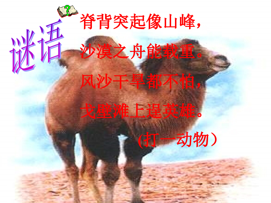 《找骆驼》徐亚红.ppt_第1页