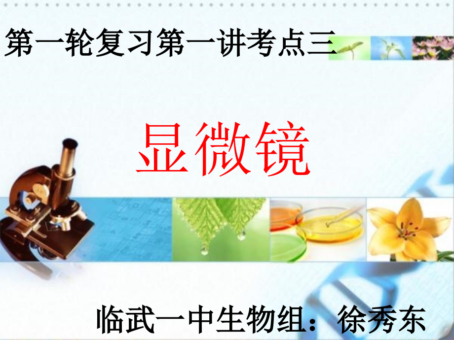 第二节细胞的形态和功能.ppt_第2页