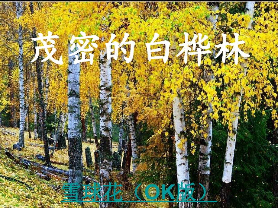 三单元flv.ppt_第1页