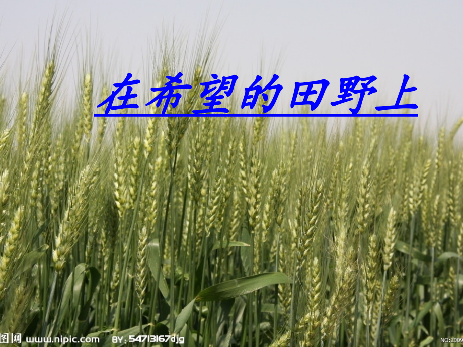 种瓜得瓜,种瓜得乐.pptx_第1页