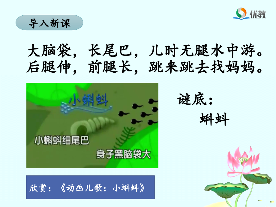 《小蝌蚪找妈妈》名师课件(第一课时).ppt_第2页