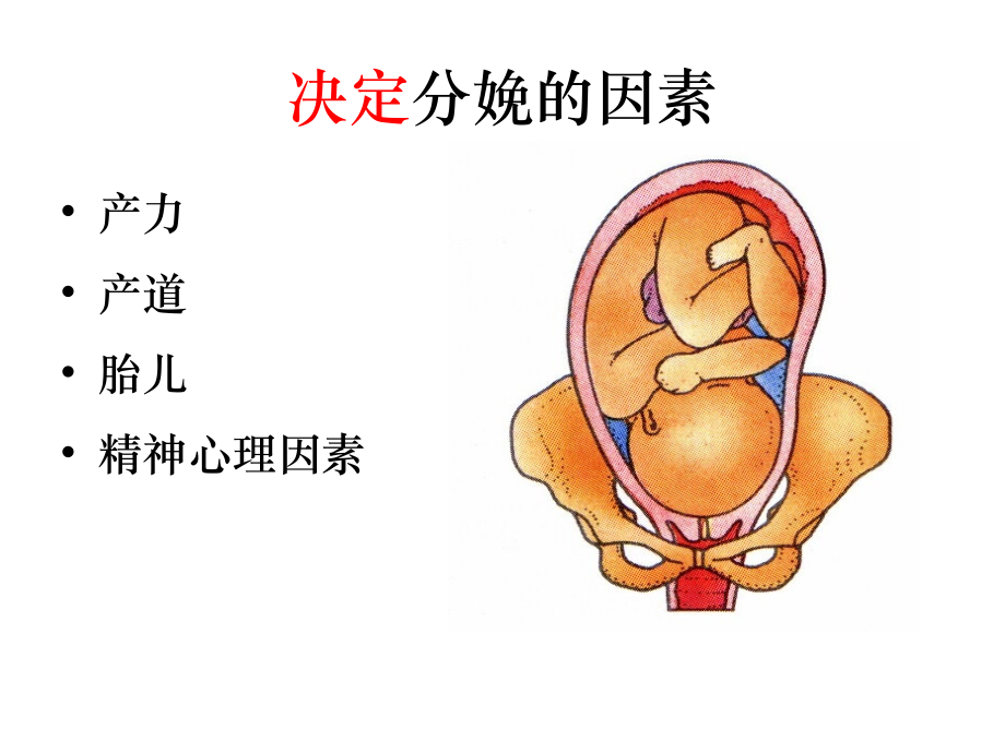 异常分娩产力异常.pptx_第2页
