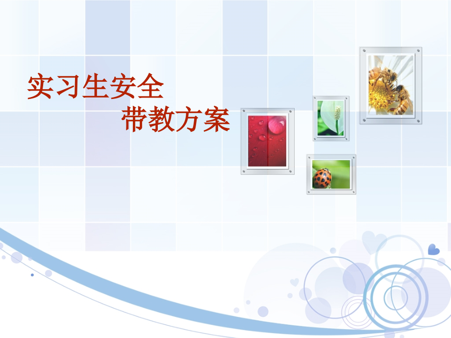 实习生安全带教方案.ppt_第1页