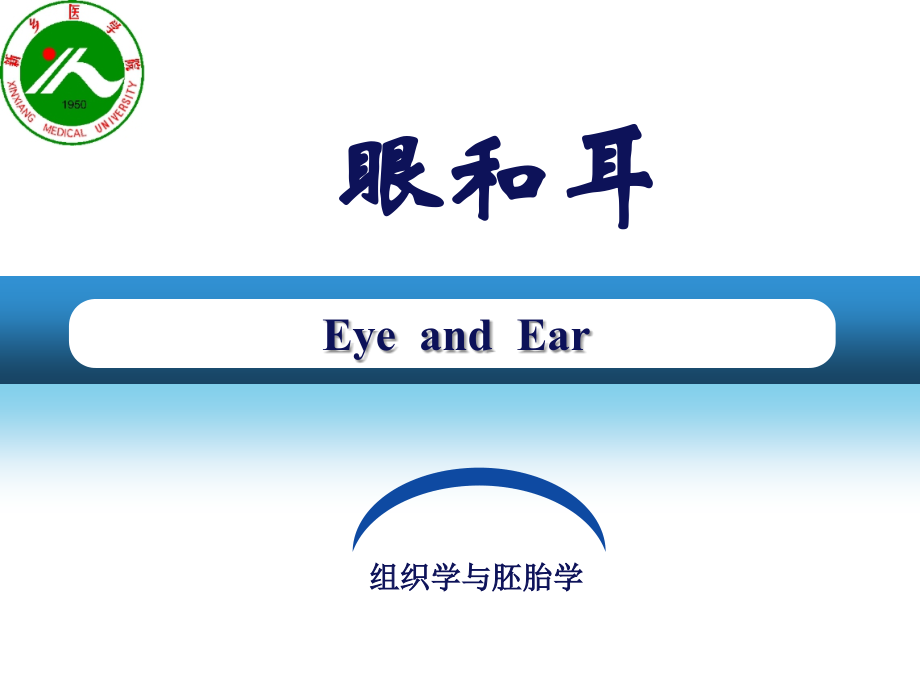 组织学与胚胎学第9章-眼和耳课件.ppt_第2页