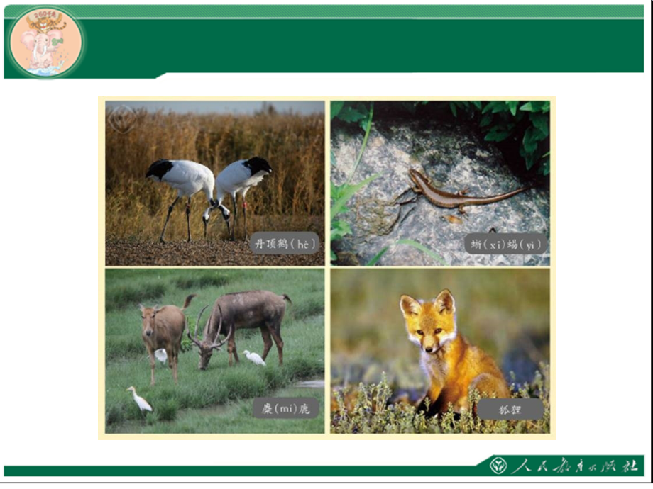 小学数学人教三年级三位数加三位数-(20).ppt_第2页