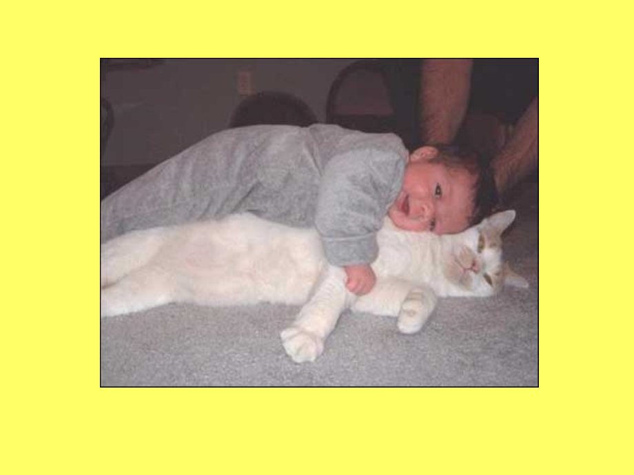 金色的脚印.ppt_第2页