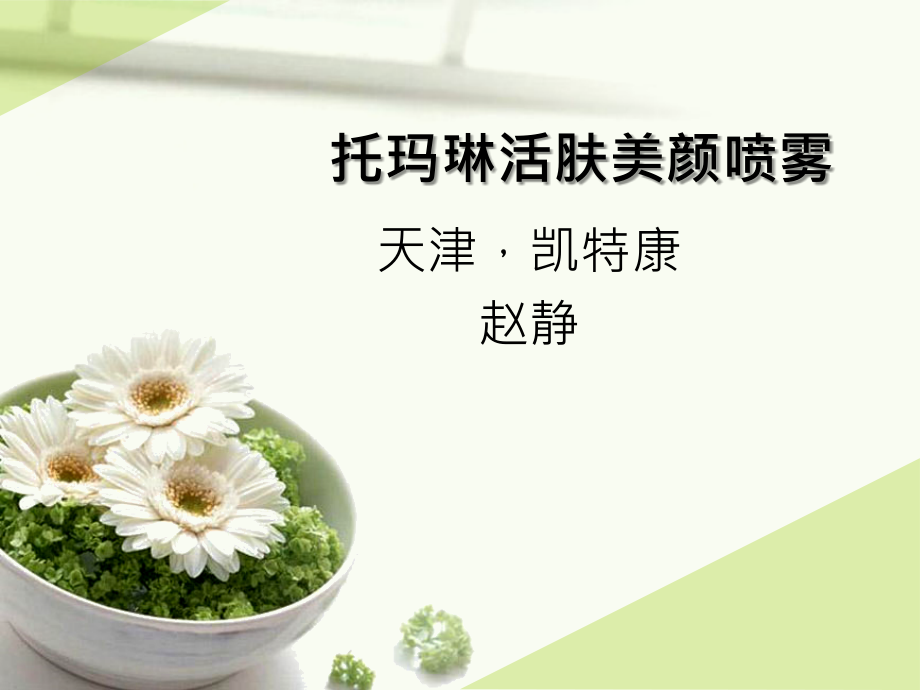 托玛琳活肤美颜喷雾,电气石活肤美颜喷雾.ppt_第1页