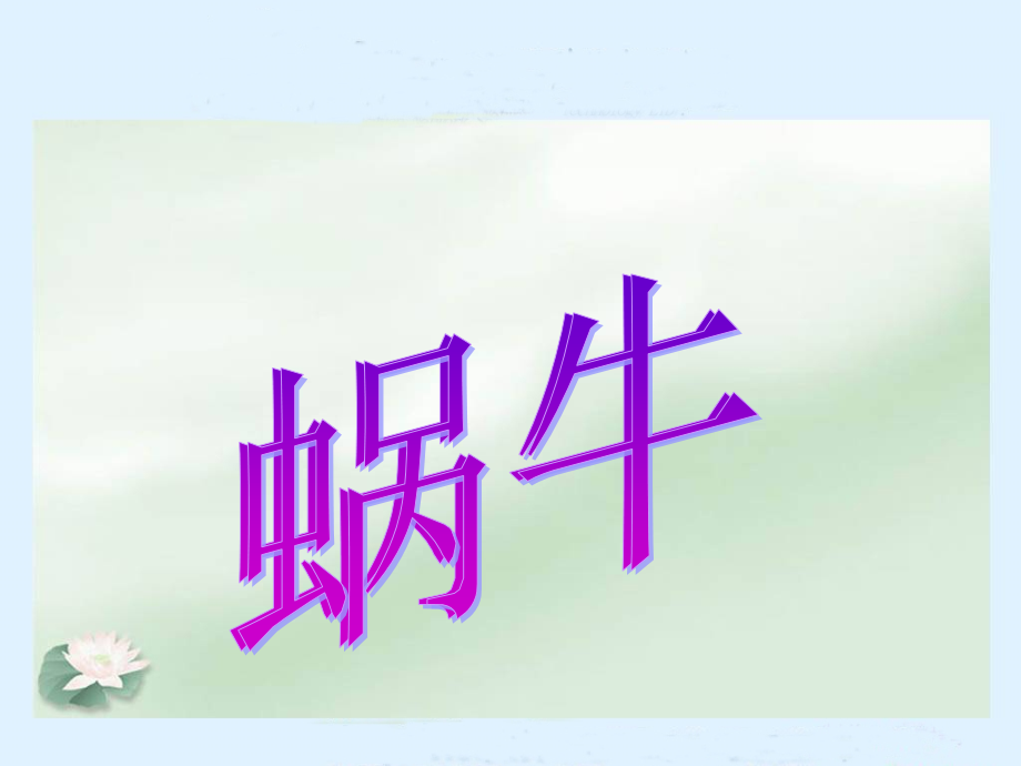 教科版三年级科学-蜗牛.ppt_第2页