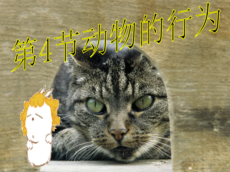 浙江省台州温岭市松门镇育英中学八年级科学上册-3.4-动物的行为课件-浙教版.ppt_第1页