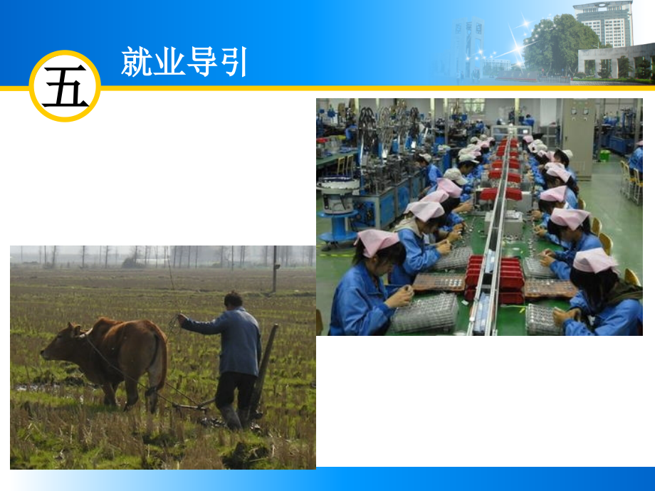 就业准备.ppt_第2页