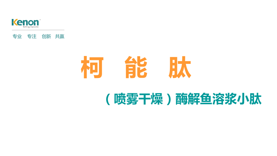 柯能肽——(喷雾干燥)酶解鱼溶浆小肽.ppt_第2页