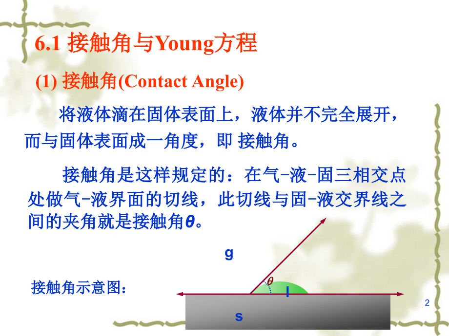 第6章固体-溶液界面.ppt_第2页
