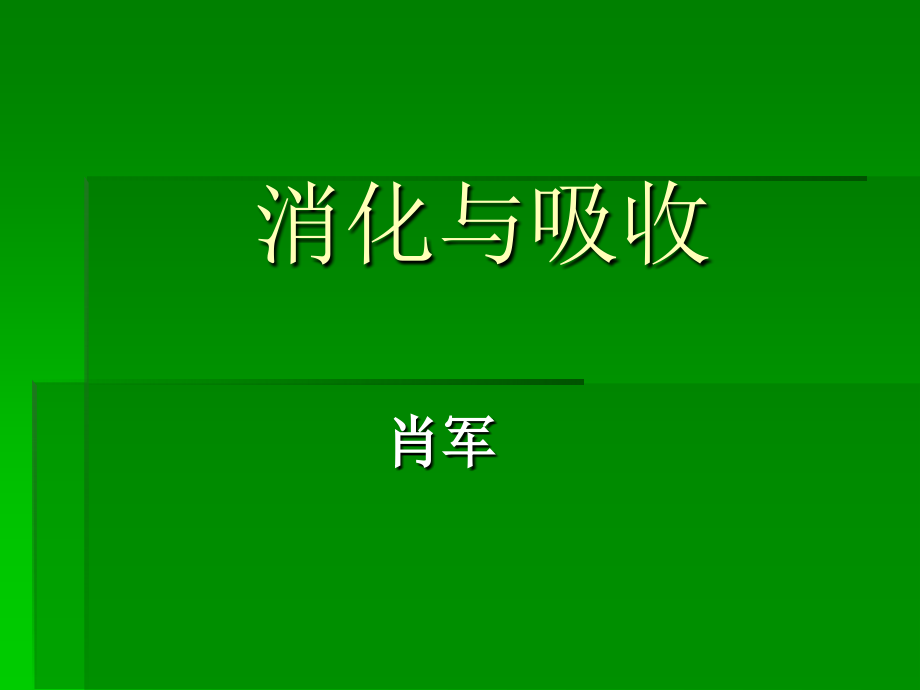 第12课时消化与吸收3——文字.ppt_第1页