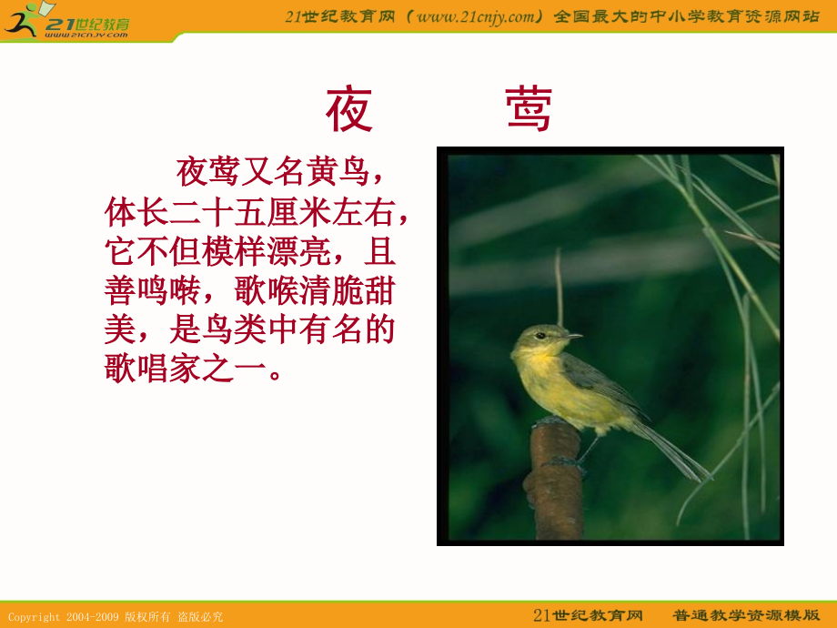 (人教新课标)四年级语文下册课件夜莺的歌声2.ppt_第2页