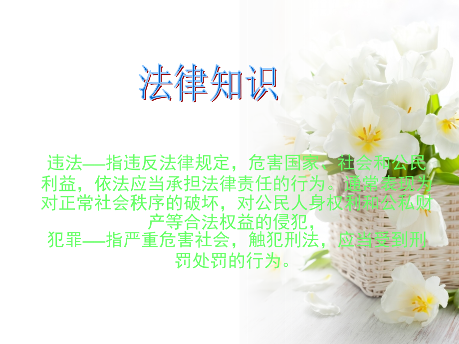 法律的主题班会ppt.ppt_第2页