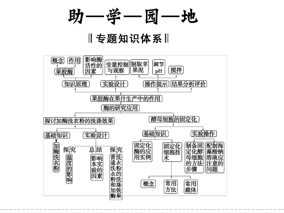 专题4 酶的研究与应用专题整合.ppt_第2页