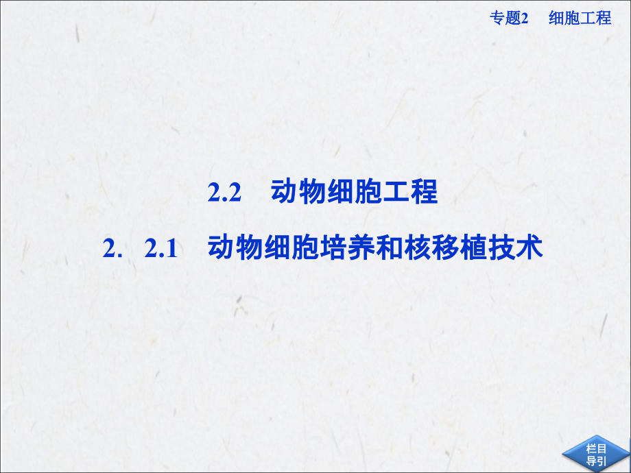 高中生物同步221动物细胞培养和核移植技术新人教版选修3.ppt_第1页