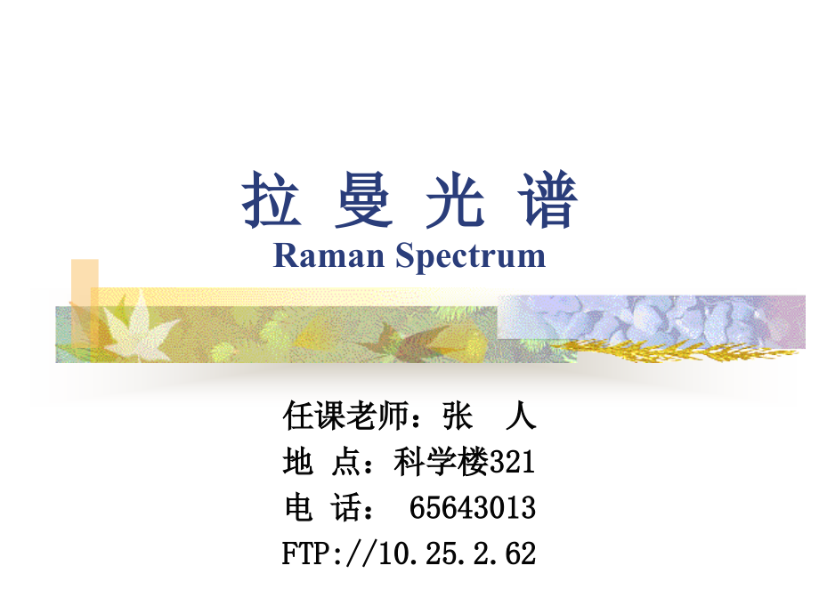 拉曼光谱Raman Spectrum_115页.ppt_第1页