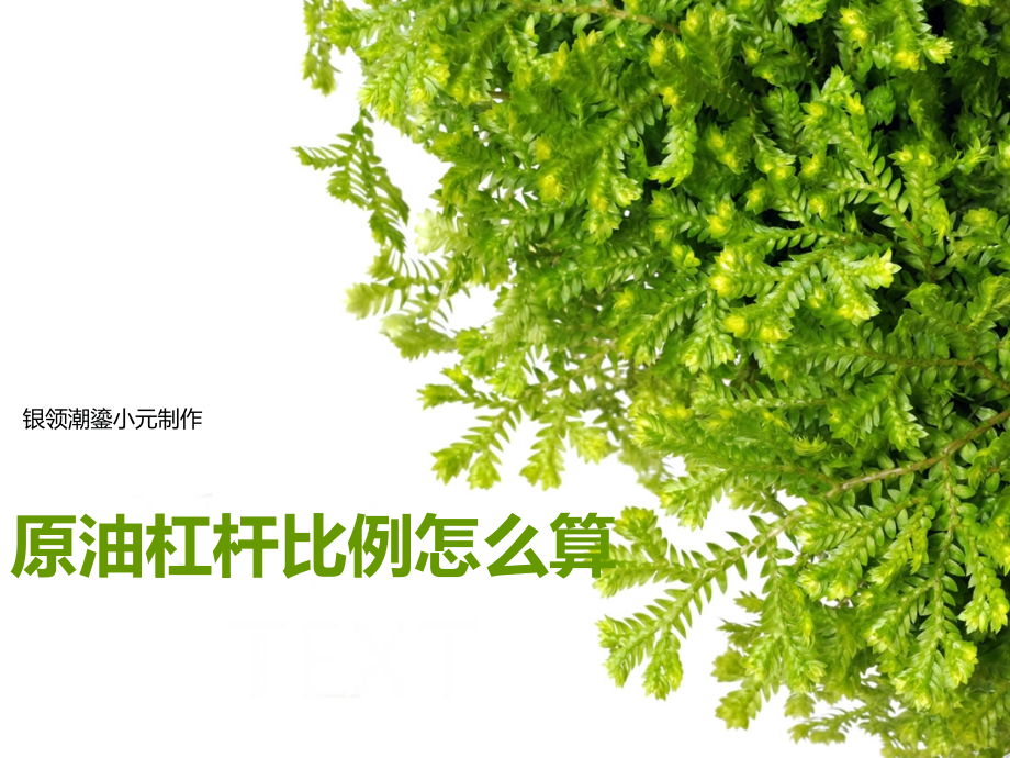 原油杠杆比例怎么算.ppt_第1页