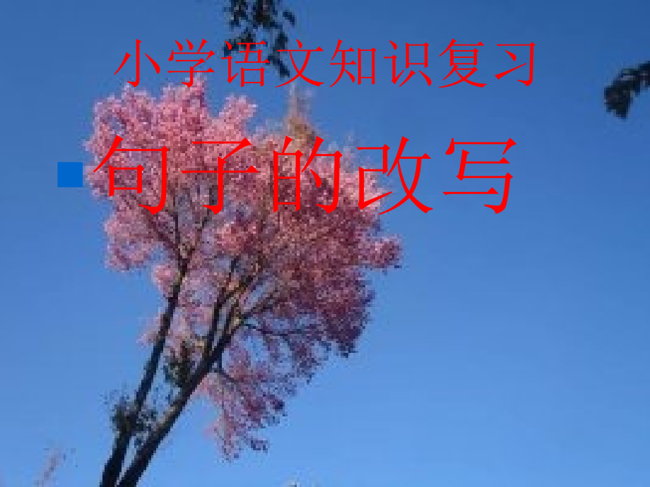 小学六年级语文句子部分.ppt_第1页