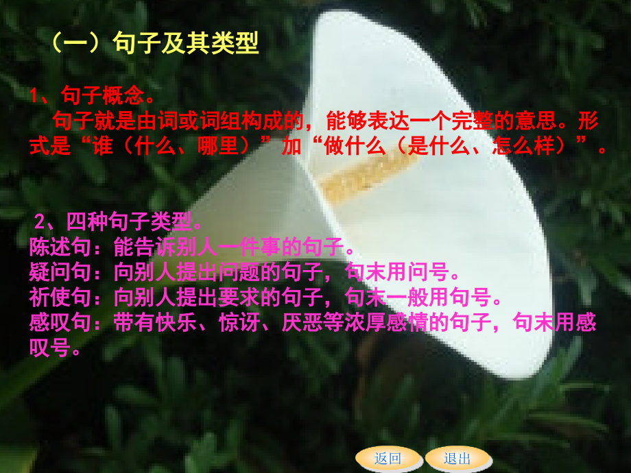 小学六年级语文句子部分.ppt_第2页