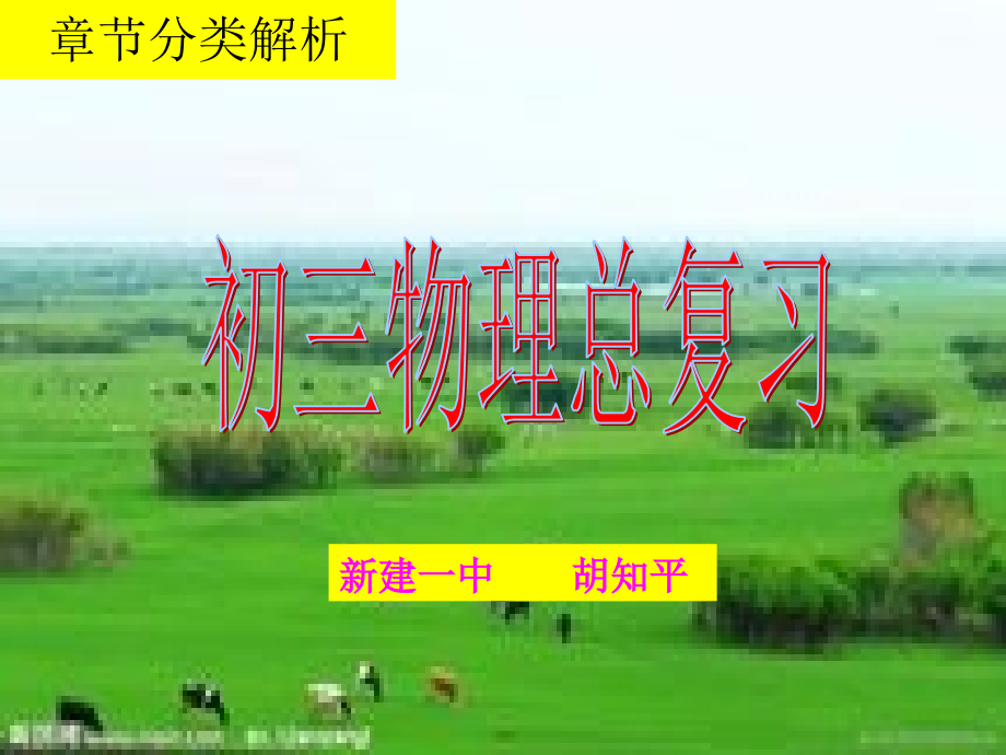 胡知平声现象.ppt_第1页