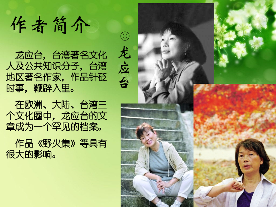 目送-读书报告会.ppt_第2页