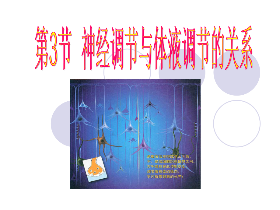 神经调节和体液调节的关系PPT.ppt_第1页