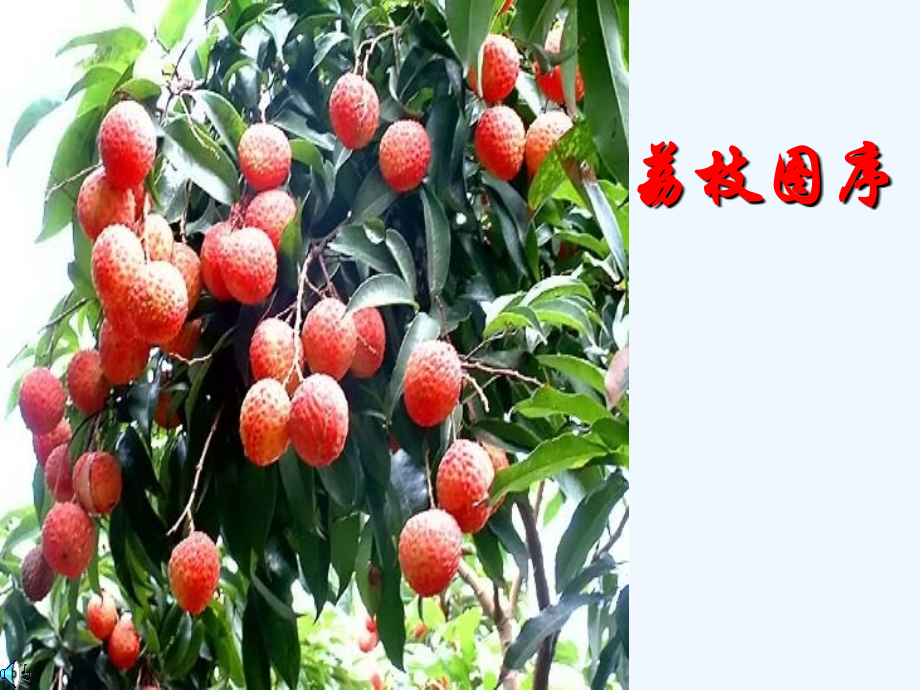 七年级语文下册《荔枝图序》课件-河大版.ppt_第1页