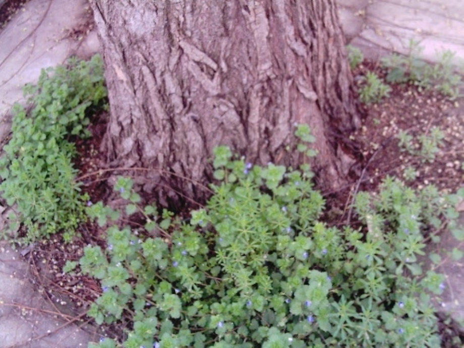 我不是最弱小的石杰.ppt_第2页