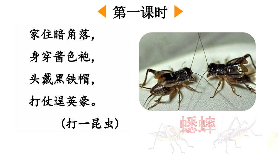 部编版三年级语文上册(在牛肚子里旅行)课件.ppt_第2页