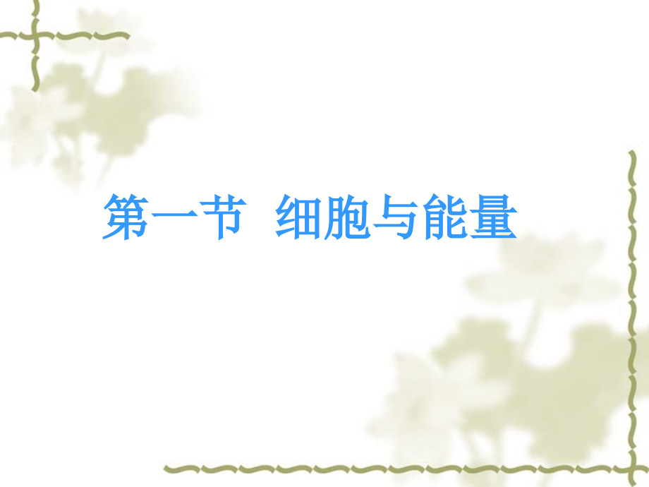 高中生物：-31-细胞与能量(课件)浙科版必修1.ppt_第1页