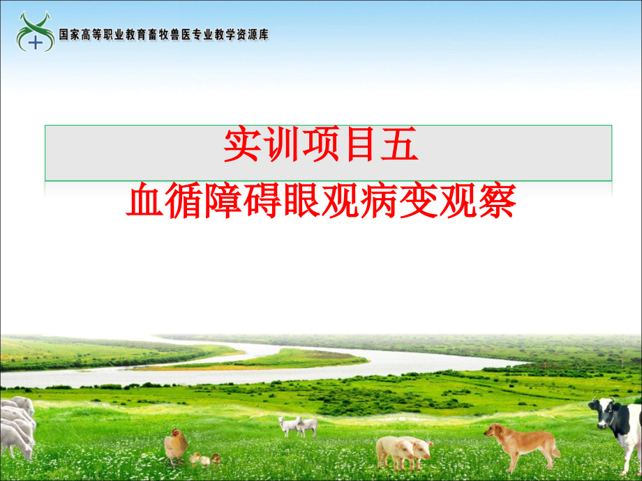 实训5血循障碍眼观病变观察..ppt_第1页
