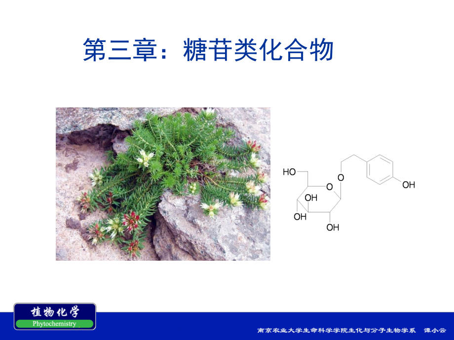 南农植物化学第三章糖苷类化合物.ppt_第1页