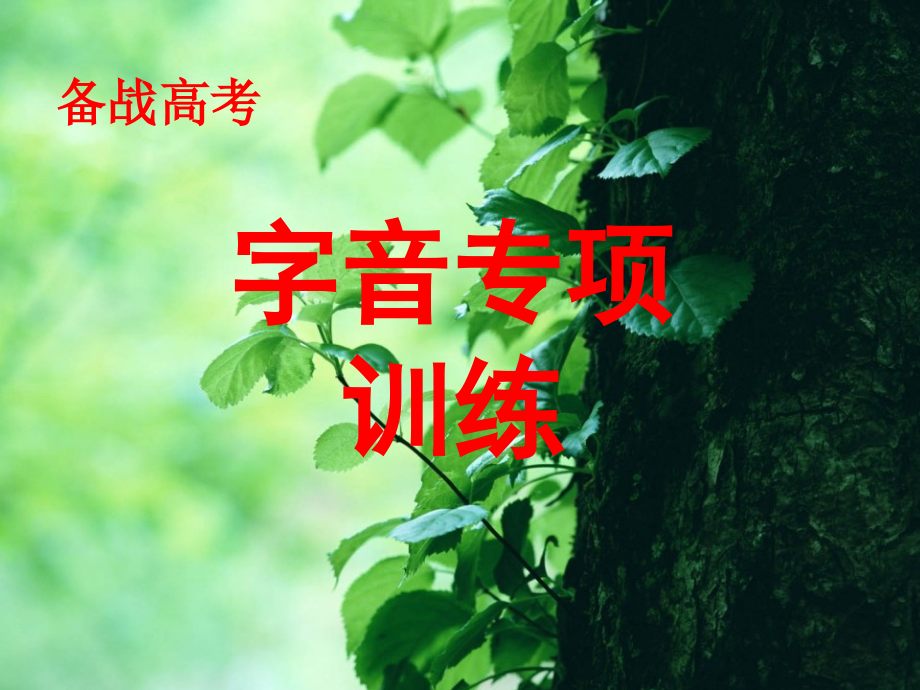 字音特总动员.ppt_第2页