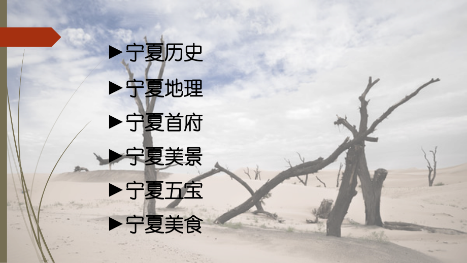 我的家乡宁夏.pptx_第2页