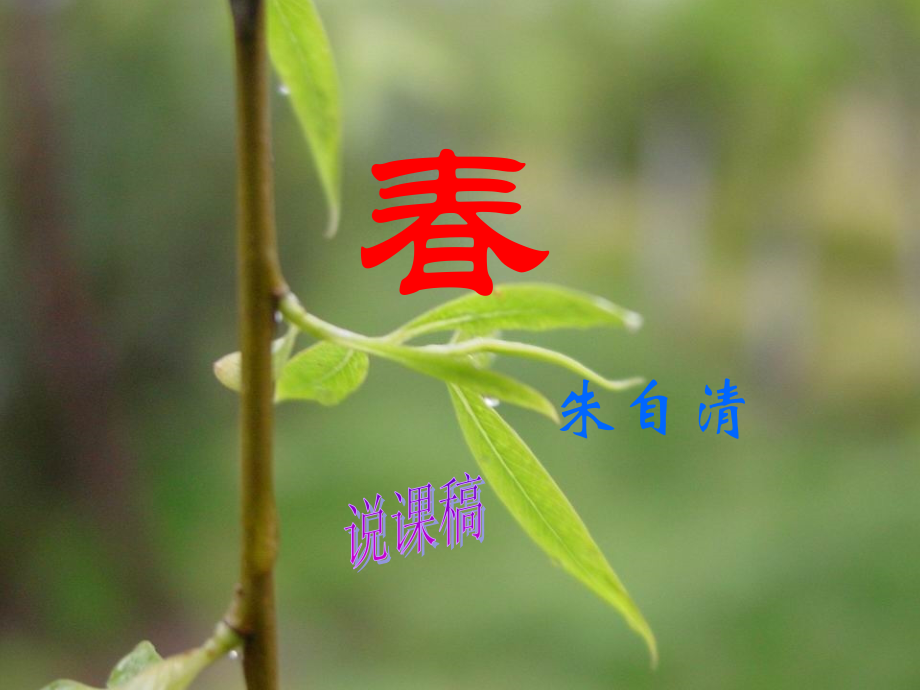 课件：《春》说课稿.ppt_第1页