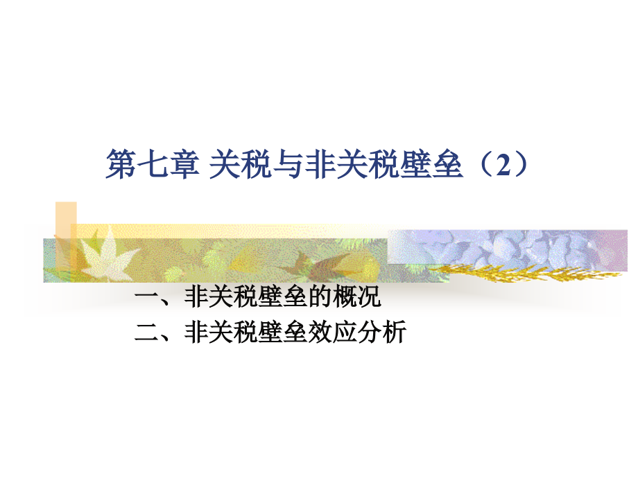 第七章 关税与非关税壁垒(2).ppt_第1页