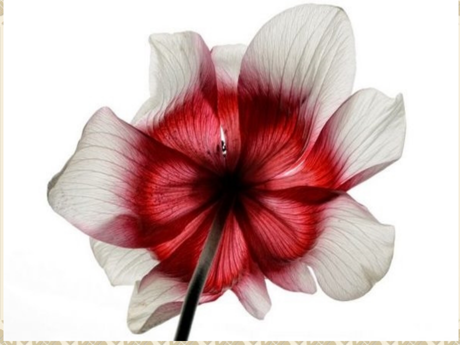 《色彩的明与暗》课件2.ppt_第2页