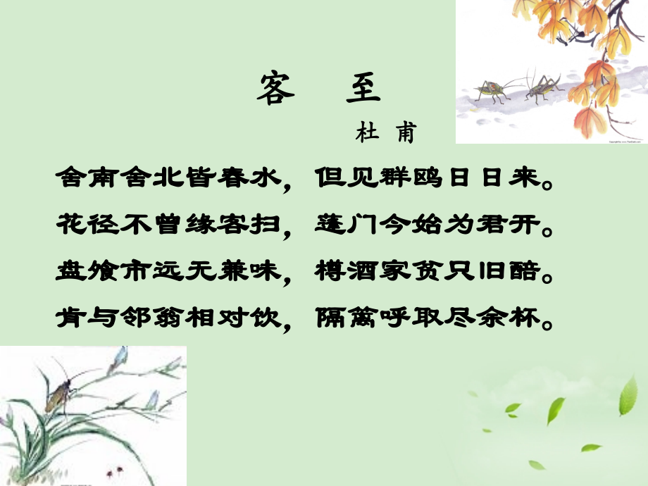 【优化教案】高中语文《客至》教学课件-苏教版选修《唐诗宋词选读》.ppt_第2页